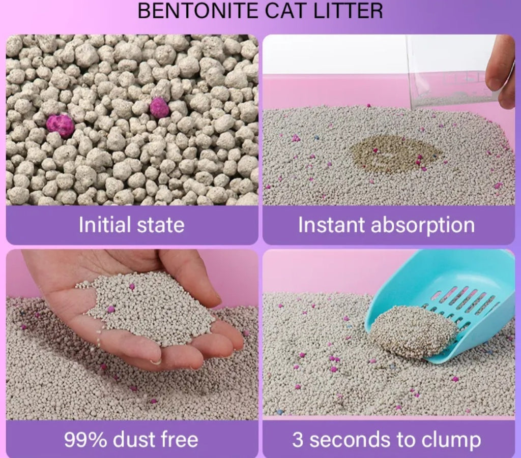 Cat news  litter lavender 22lb