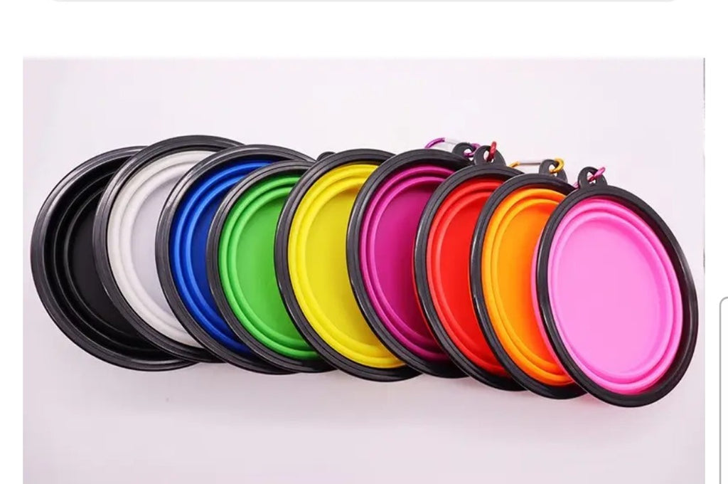Silicone Travel Bowl dog bowl